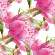 Pink peony N2