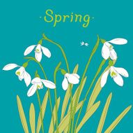 Snowdrops spring bouquet Hand-drawn vector illustration Card invitation template N3