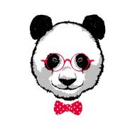 Hipster panda bear in the glasses