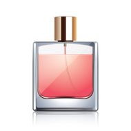Perfume bottle isolated on white vector