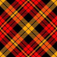 tartan plaid N13