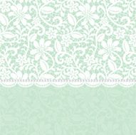 Lace Border N16