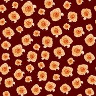 Seamless pattern with roses N33