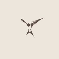 Hand drawn swallow vector illustration