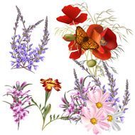 Vector set of detailed colored flowers N2