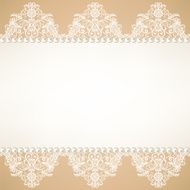 lace fabric background N29
