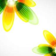 Vector flowers on white