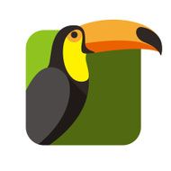 toucan bird flat icon