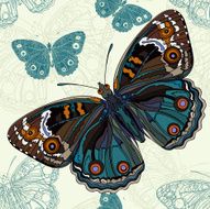 Background with a big butterfly