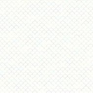 Seamless cross pattern in various color For banknote money design N133