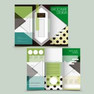 Vector Brochure Layout Design Template N16