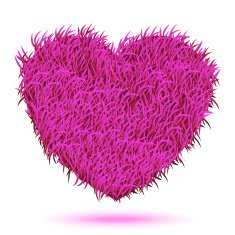 Heart Pink Carpet