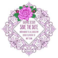 Vector vintage border frame N12