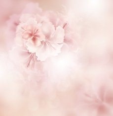 Floral background N393