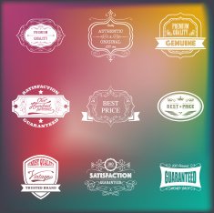Badges N6