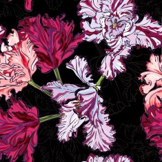 Pink Tulips on Black