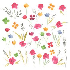 Vector Summer Flowers Watercolor