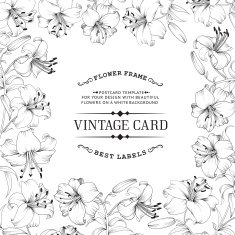 Vintage card N16