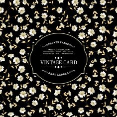 Lable card N6