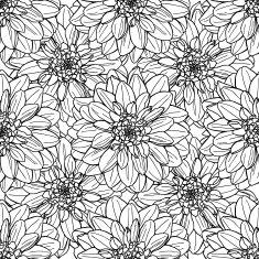 Seamless vector dahlia flower pattern Line art background