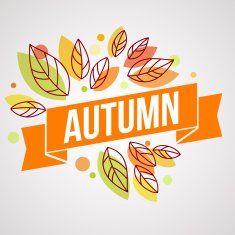 Autumn background with leaves N26