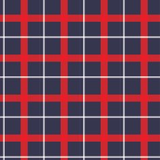 red and blue white plaid scottish pattern vector