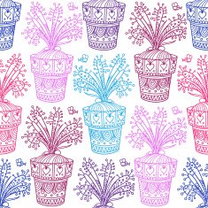 Drosera pattern