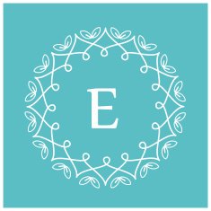 symmetric monogram N6