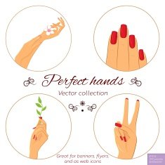 Manicure and skincare concept Set of hands