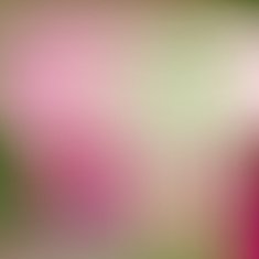 Smooth colorful background N8