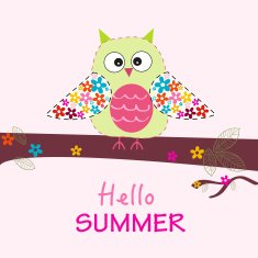 Owl with flowers colorful greeting card