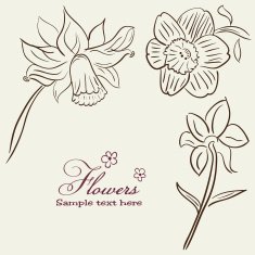 Vintage Flower Background N3
