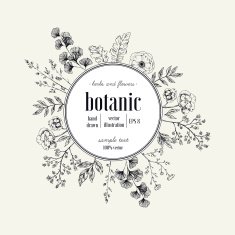 Hand drawn herb round composition Floral template Vector illustration