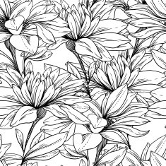 Seamless pattern from monochrome chamomiles