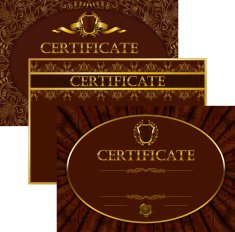 Elegant template of certificate diploma N47