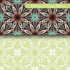 Set of 2 Seamless Vintage Patterns (Vector) N9