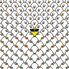 Yellow Chick in Ladies Sunglasses Surrounded by Staring White Ch