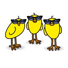 Three Yellow Chicks Wearing Ladies Sunglasses Staring