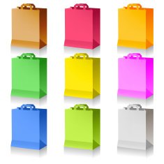 Paper Shopping Bags N6