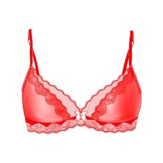 Sexy vintage red bra