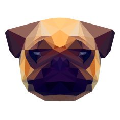 bright colored triangle polygonal abstract pug isolated on white background