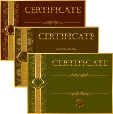 Elegant template of certificate diploma N51
