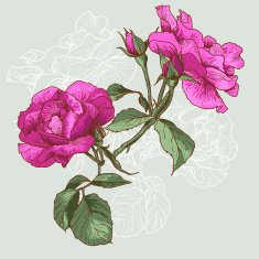 Beautiful Seamless Rose Background N8