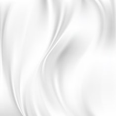 Abstract Vector Texture White Silk N2