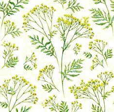 Seamless flower with leaf pattern background N5