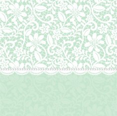 Lace Border N16