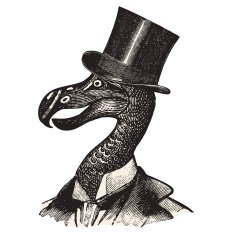 Monsieur Dodo N2