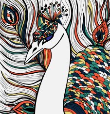 Decorative ornamental peacock N9