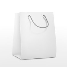 blank shopping paper bag N2