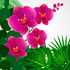 Floral design background Orchid flowers N4